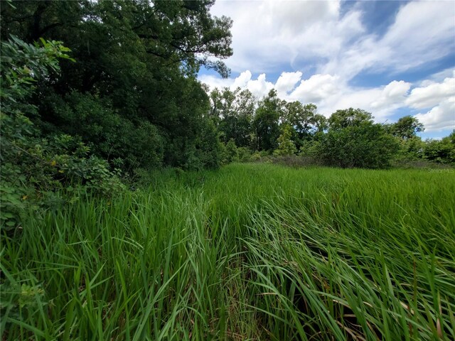 Woodland Ave, Lakeland, FL 33801