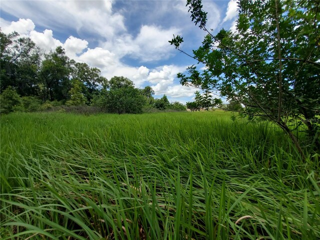Woodland Ave, Lakeland, FL 33801