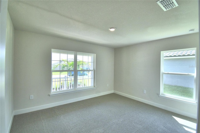 spare room with carpet floors