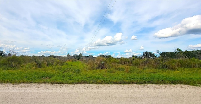 3996 John Carlton Rd, Zolfo Springs FL, 33890 land for sale