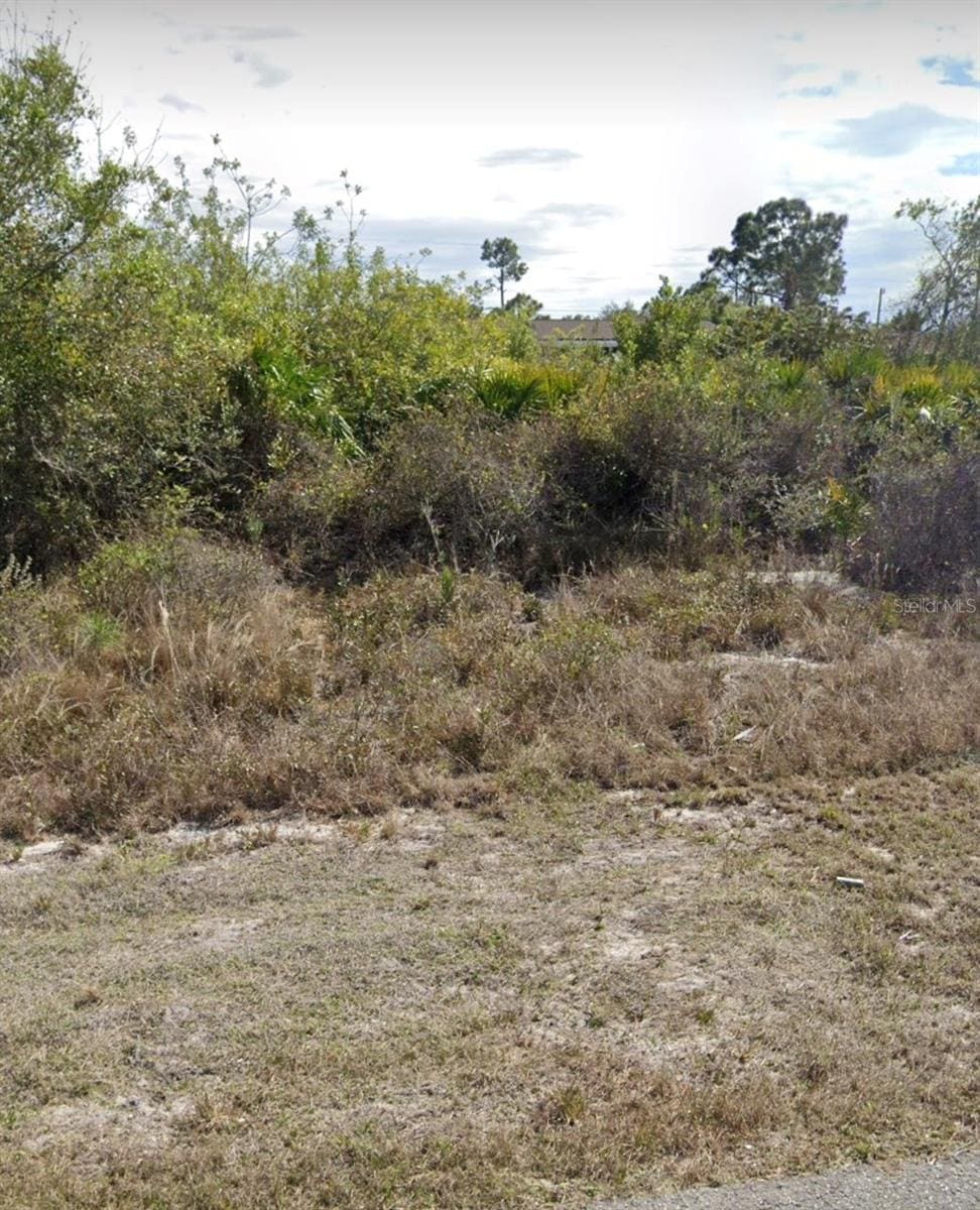 2509 33rd St SW, Lehigh Acres, FL 33976 - photo 2