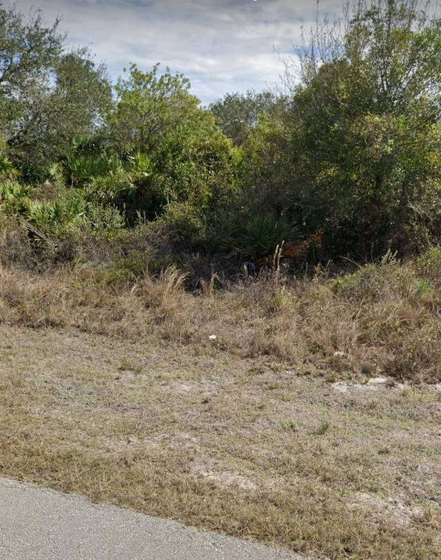 2507 33rd St SW, Lehigh Acres FL, 33976 land for sale