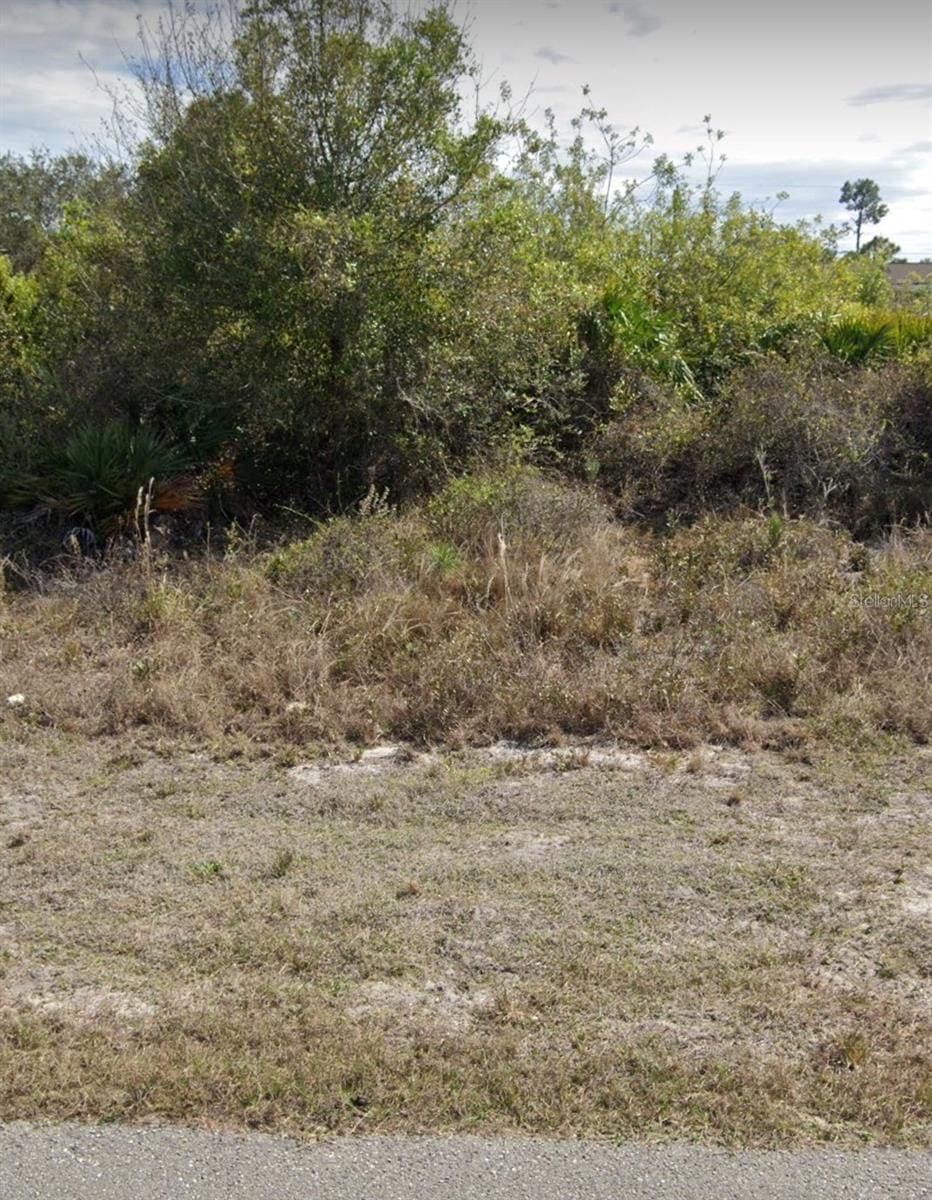 2507 33rd St SW, Lehigh Acres, FL 33976 - photo 2