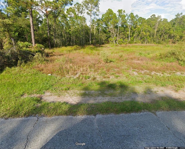 2 Marlin Dr, Poinciana FL, 34759 land for sale