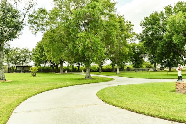 view of property's community featuring a yard