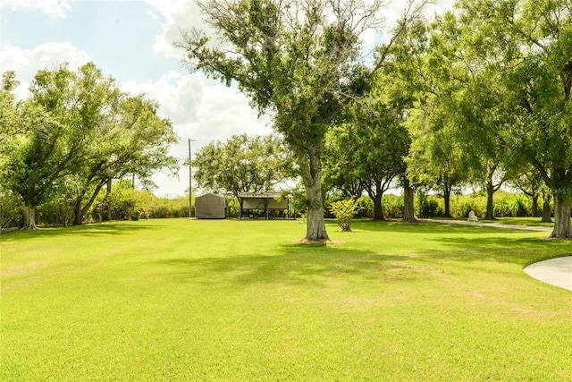 view of yard