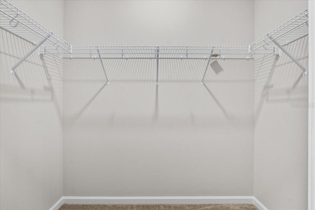 walk in closet featuring carpet