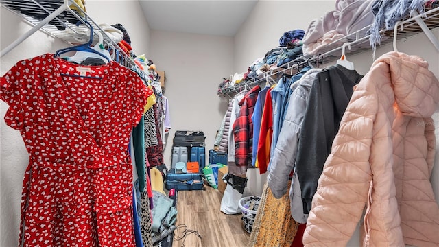 spacious closet with hardwood / wood-style flooring