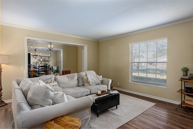 living room featuring a chandelier, crown molding, and dark hardwood / wood-style flooring