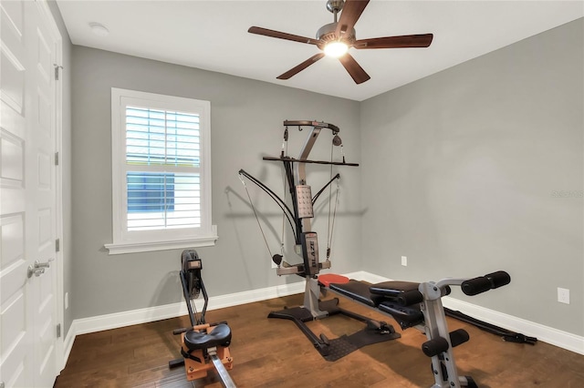 exercise room featuring ceiling fan and dark wood-type flooring