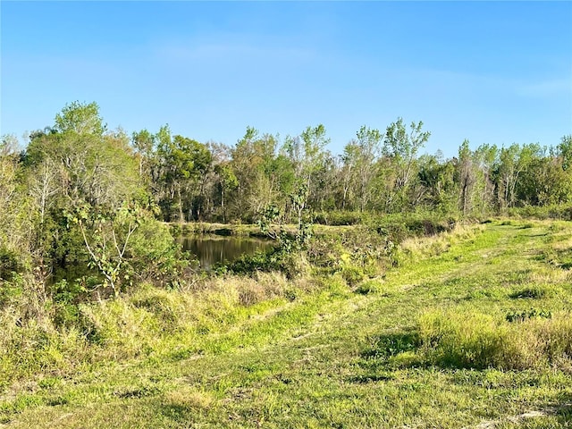 Listing photo 3 for Dansby Rd, Wauchula FL 33873