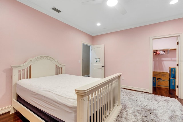 bedroom featuring ceiling fan, ornamental molding, a spacious closet, dark wood-type flooring, and a closet