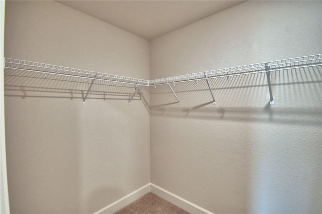 spacious closet with carpet flooring