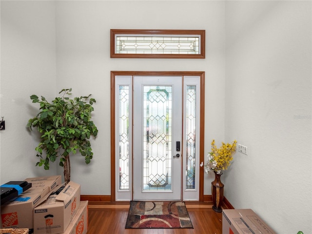 foyer featuring dark wood-type flooring