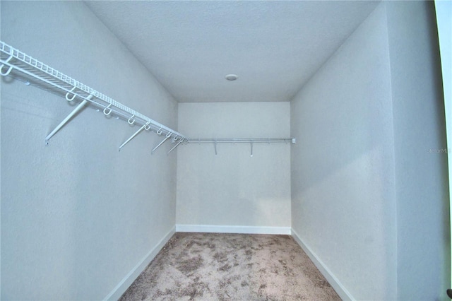 spacious closet featuring light carpet