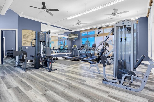 exercise room featuring wood-type flooring and ceiling fan