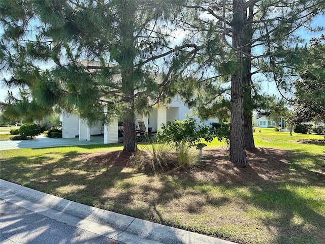 obstructed view of property with a front yard