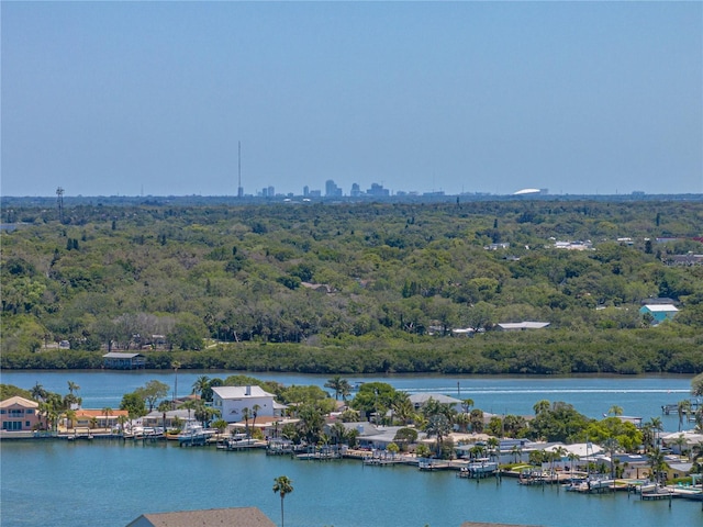 view of property view of water