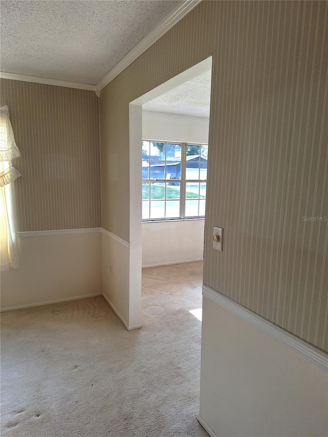 carpeted empty room with crown molding and a textured ceiling