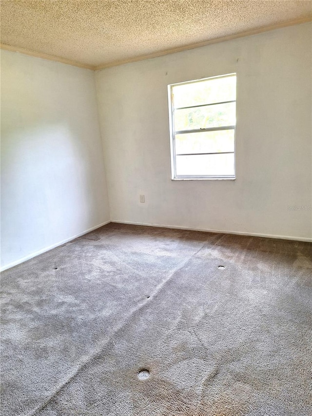 spare room featuring carpet and a textured ceiling