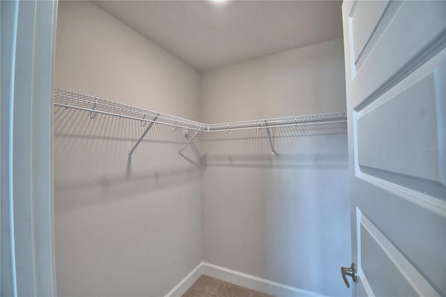 spacious closet with carpet floors