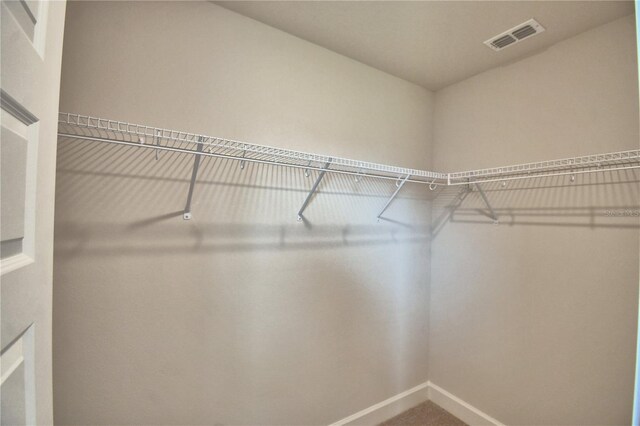 spacious closet featuring carpet and visible vents