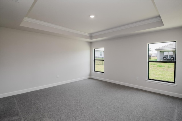 unfurnished room with carpet flooring, plenty of natural light, and a raised ceiling