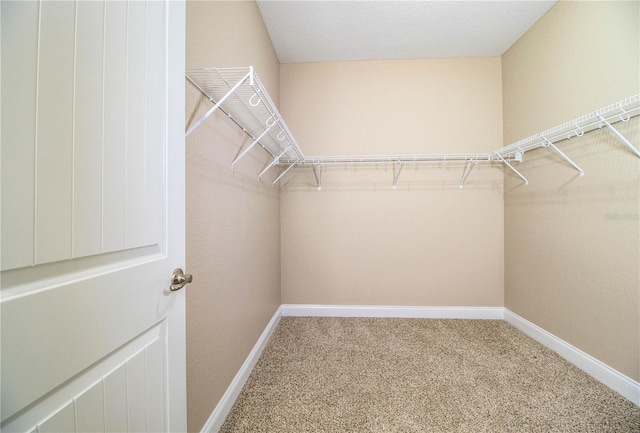 spacious closet with carpet flooring