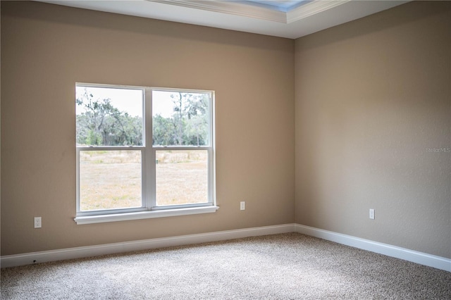 spare room featuring a healthy amount of sunlight and carpet floors