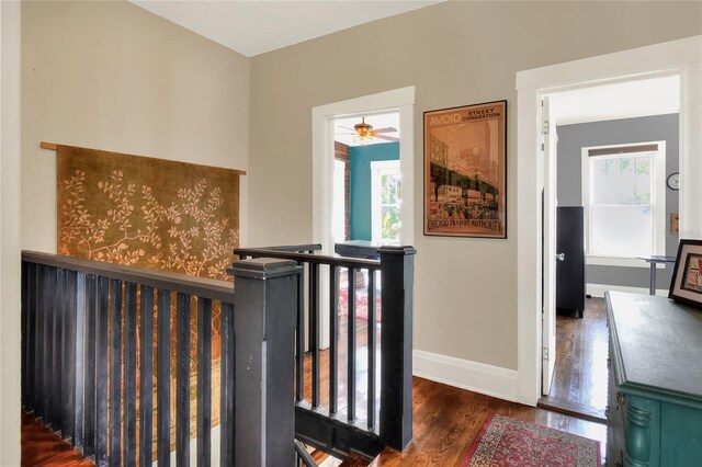 hallway with dark hardwood / wood-style floors and plenty of natural light