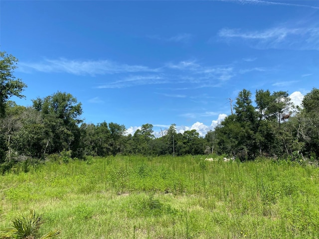 Listing photo 3 for TBD Marion Oaks Blvd, Ocala FL 34473