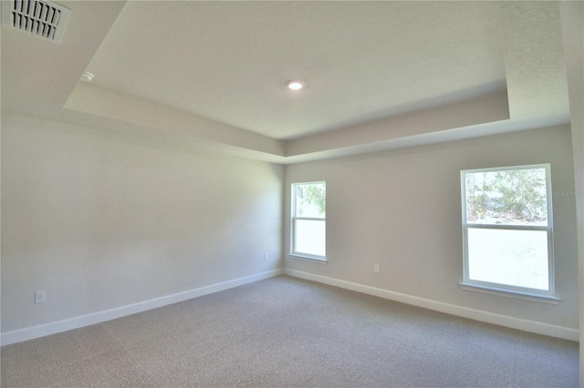 unfurnished room featuring a tray ceiling and carpet floors