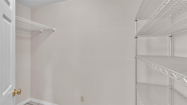 6110 Downing St, Dover, FL 33527 - view of walk in closet