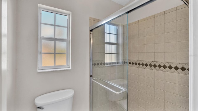 6110 Downing St, Dover, FL 33527 - bathroom with toilet and a stall shower