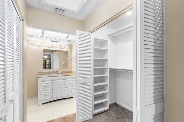 spacious closet featuring sink and carpet