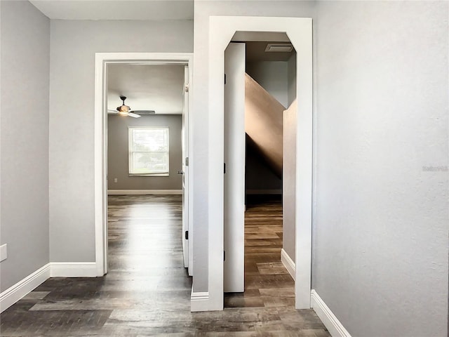 hall featuring dark wood-type flooring