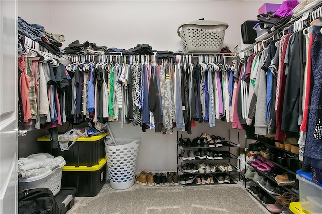 spacious closet featuring carpet