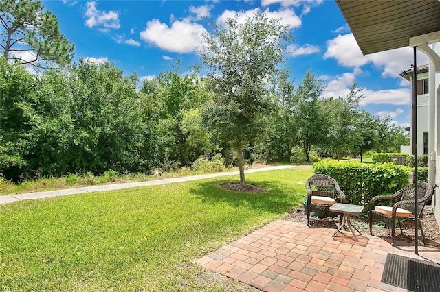 view of yard featuring a patio