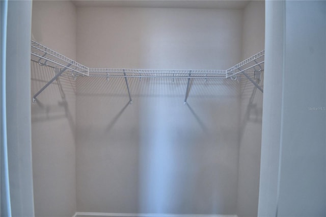 view of walk in closet