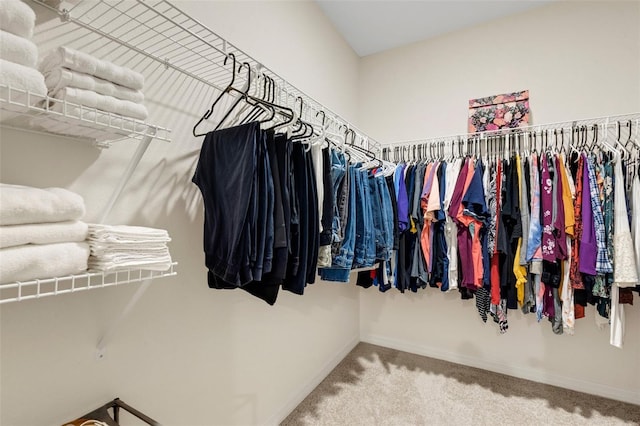 spacious closet with carpet