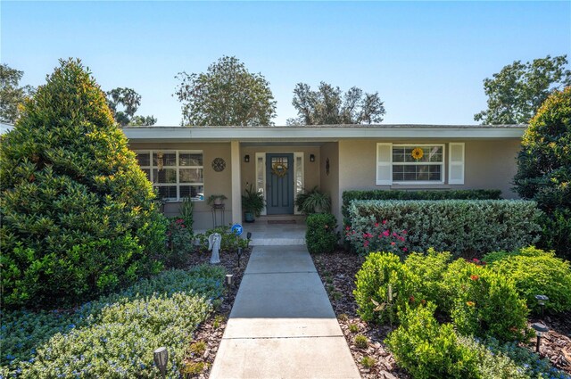 ranch-style home with covered porch