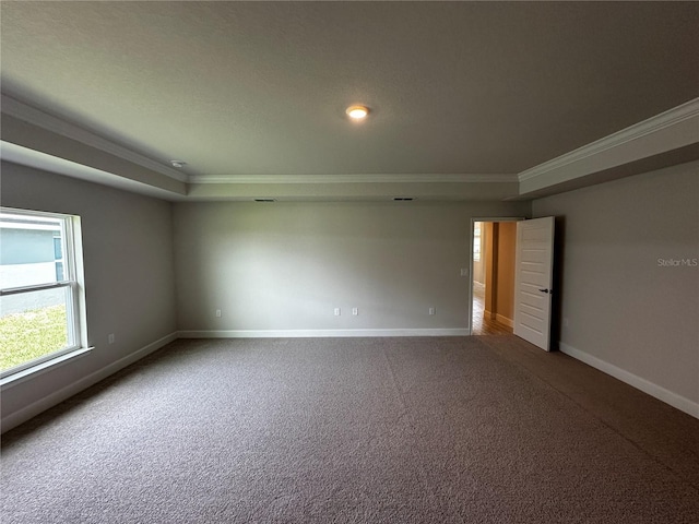 carpeted spare room featuring crown molding