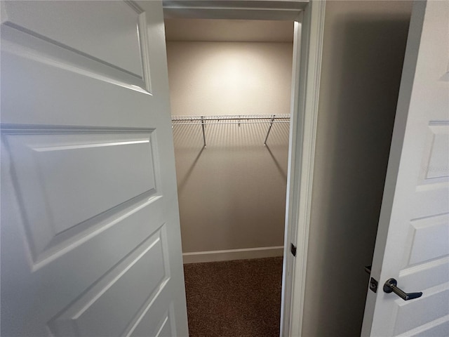 spacious closet with carpet flooring