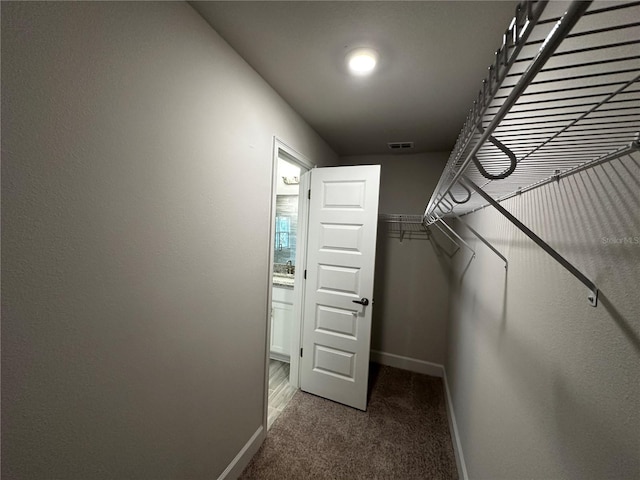 walk in closet with carpet floors