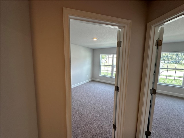 hallway with carpet flooring, a healthy amount of sunlight, and a textured ceiling