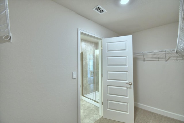 spacious closet with light carpet