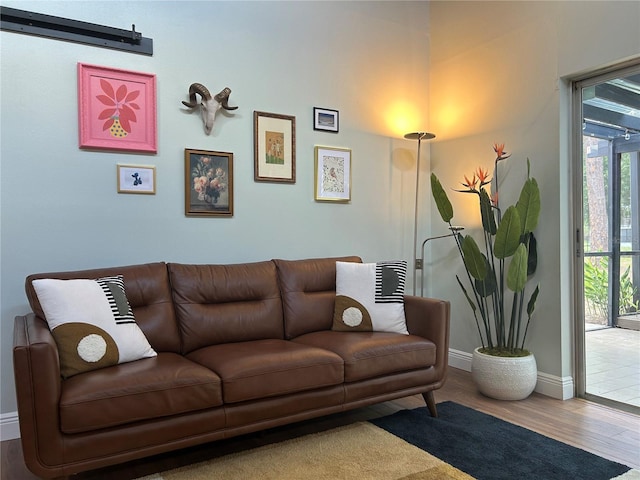 living room featuring wood-type flooring