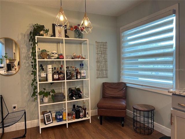 sitting room featuring dark hardwood / wood-style floors