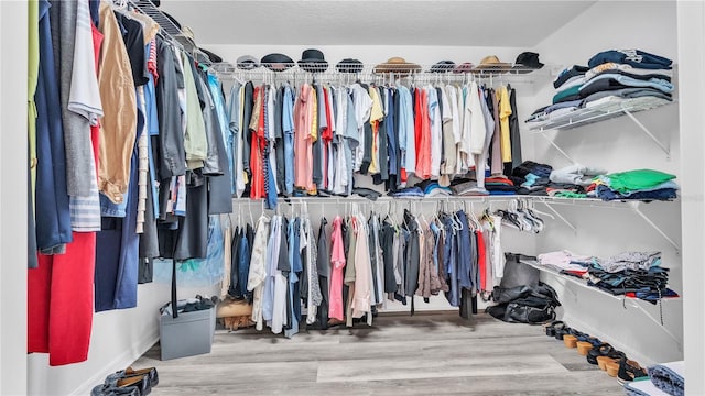 walk in closet featuring wood-type flooring