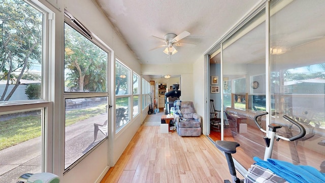 sunroom featuring ceiling fan and a wealth of natural light